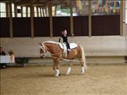 voltitag 2009 _CD2 114